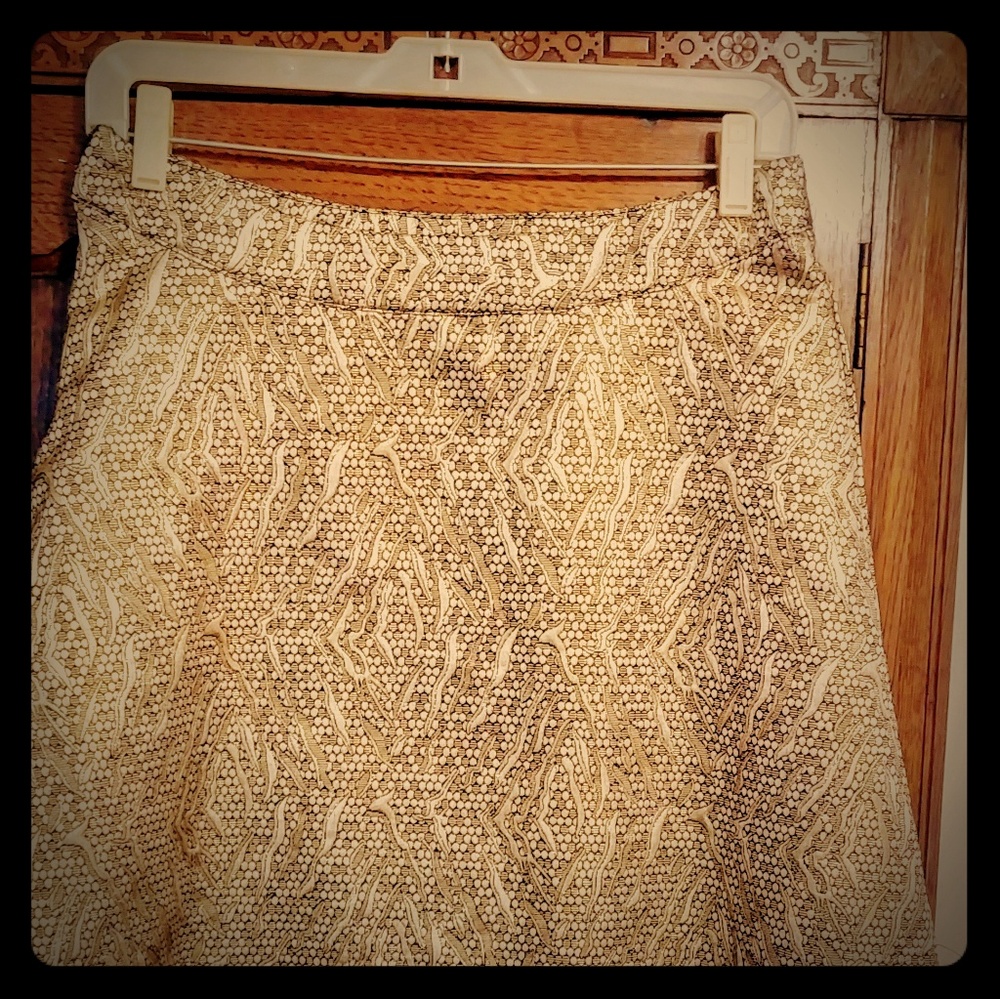 Beautiful Gold Foil and Black Skirt